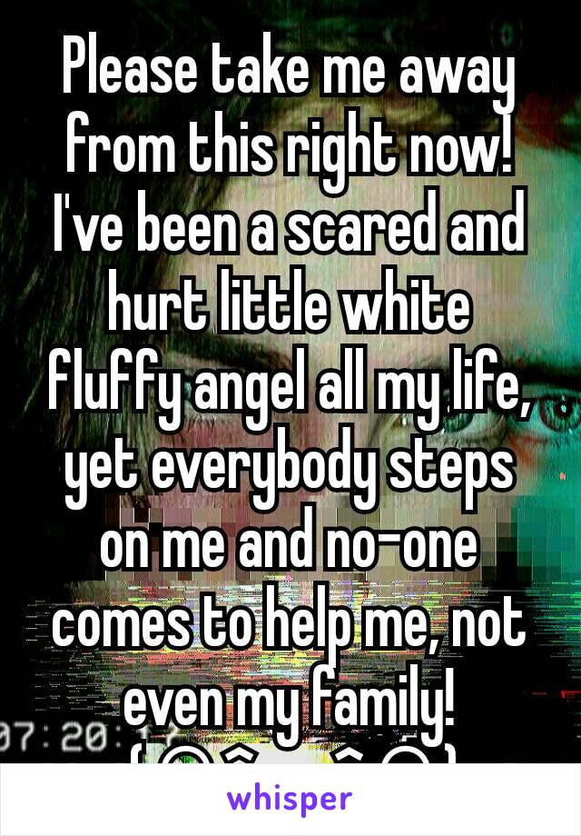 Please take me away from this right now!
I've been a scared and hurt little white fluffy angel all my life, yet everybody steps on me and no-one comes to help me, not even my family!
 :;(∩^﹏^∩);: