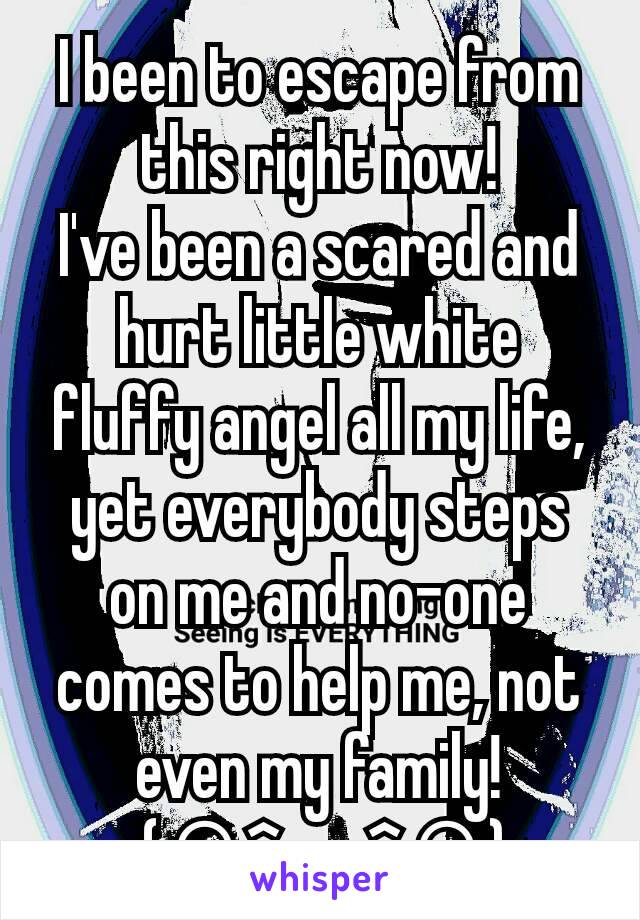 I been to escape from this right now!
I've been a scared and hurt little white fluffy angel all my life, yet everybody steps on me and no-one comes to help me, not even my family!
 :;(∩^﹏^∩);: