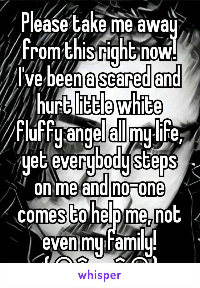 Please take me away from this right now!
I've been a scared and hurt little white fluffy angel all my life, yet everybody steps on me and no-one comes to help me, not even my family!
 :;(∩^﹏^∩);: