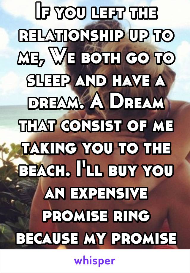 If you left the relationship up to me, We both go to sleep and have a dream. A Dream that consist of me taking you to the beach. I'll buy you an expensive promise ring because my promise isn't cheap.