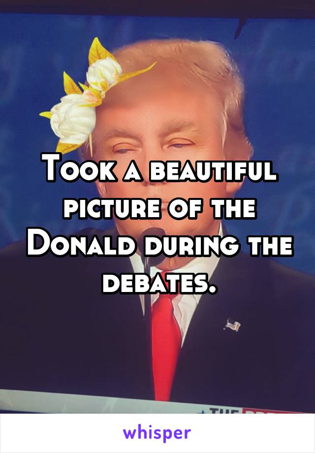 Took a beautiful picture of the Donald during the debates.