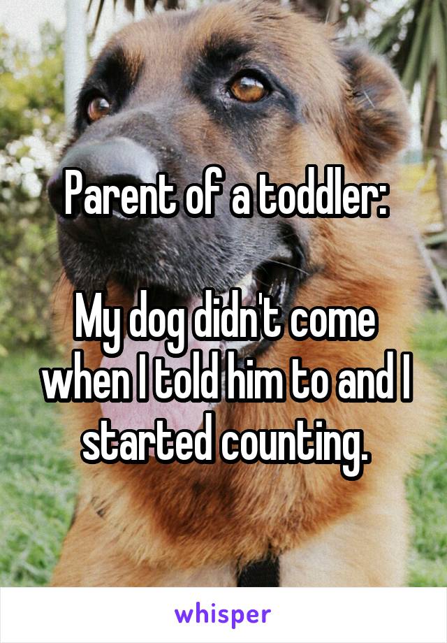Parent of a toddler:

My dog didn't come when I told him to and I started counting.