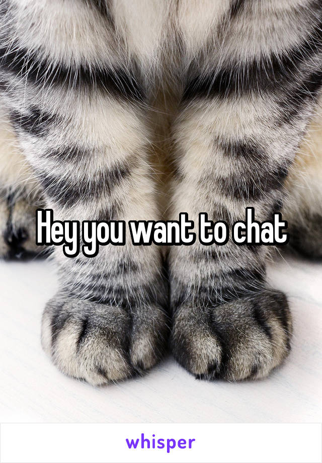 Hey you want to chat