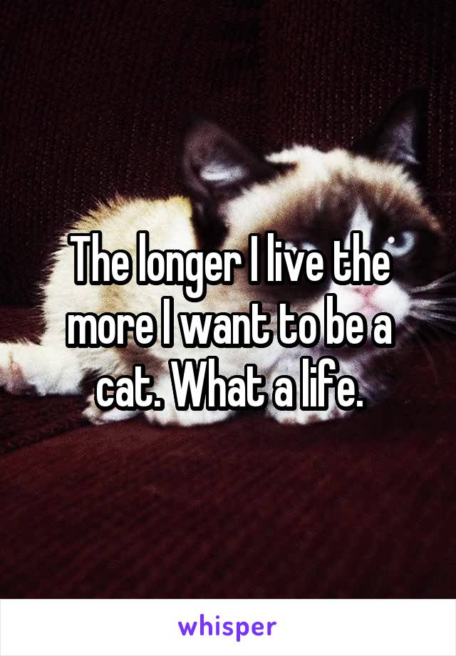 The longer I live the more I want to be a cat. What a life.