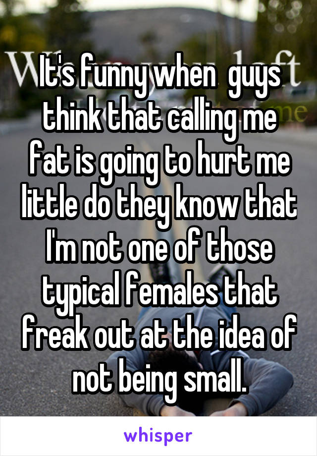 It's funny when  guys think that calling me fat is going to hurt me little do they know that I'm not one of those typical females that freak out at the idea of not being small.