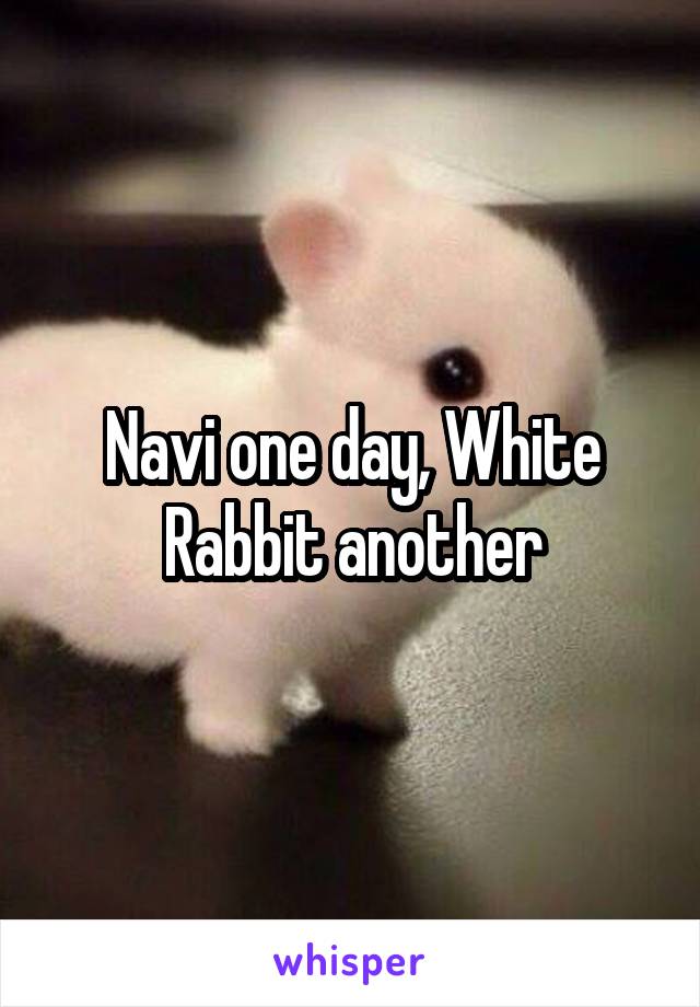 Navi one day, White Rabbit another