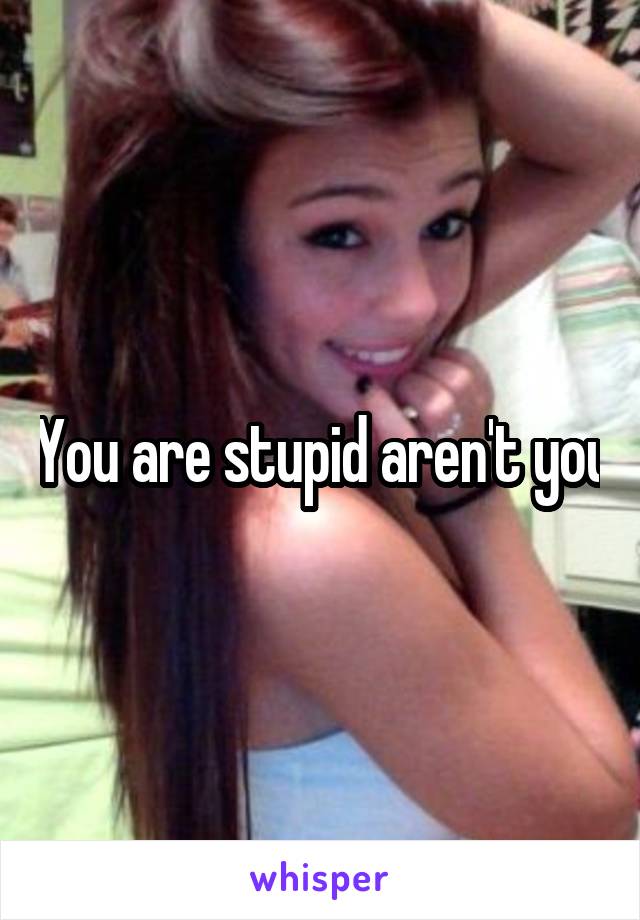 You are stupid aren't you