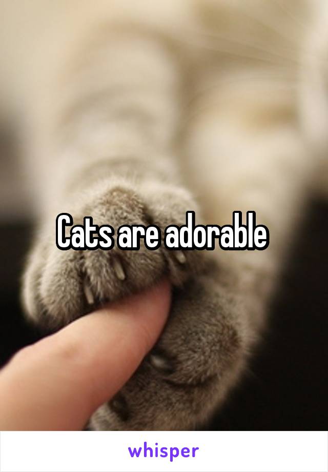 Cats are adorable 