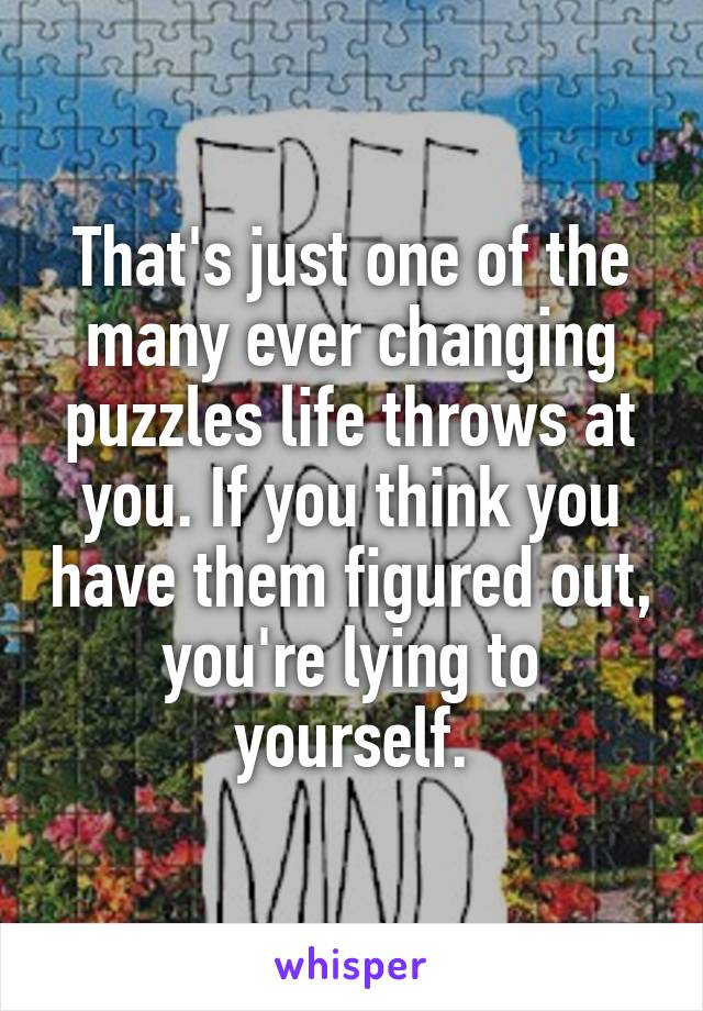 That's just one of the many ever changing puzzles life throws at you. If you think you have them figured out, you're lying to yourself.