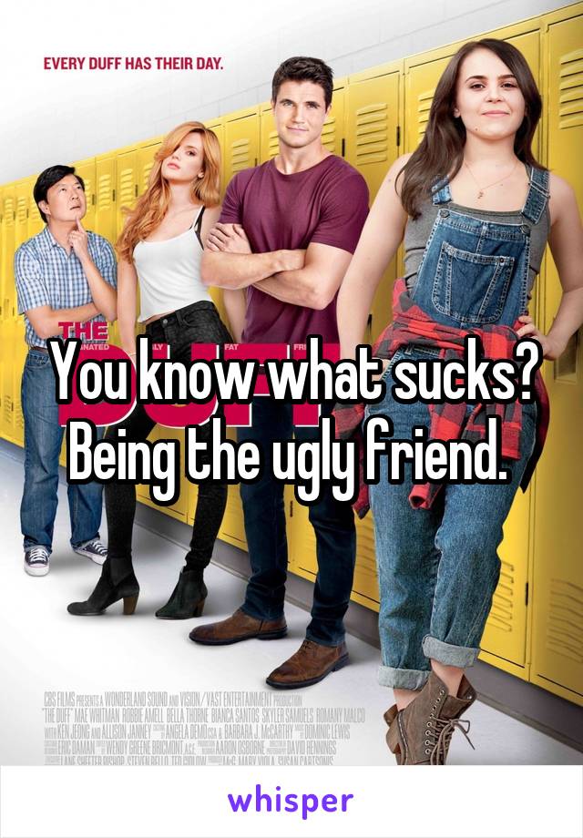 You know what sucks? Being the ugly friend. 