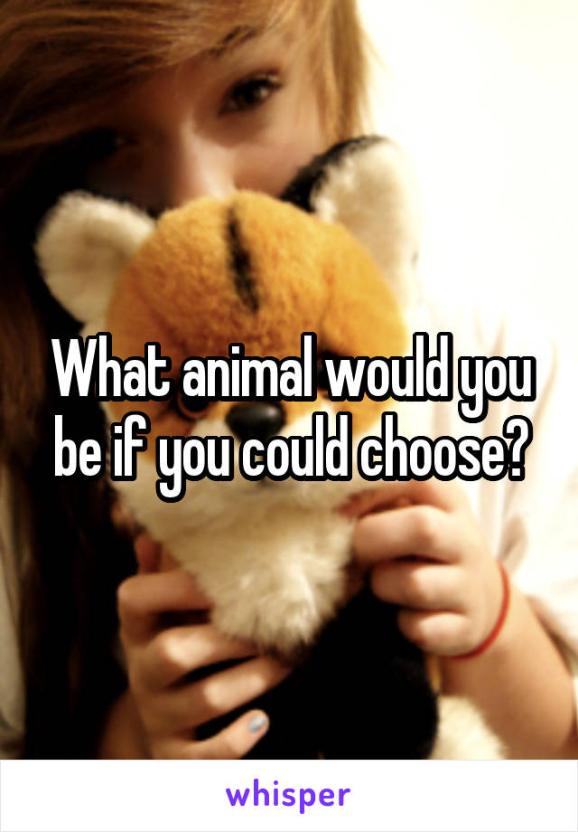 What animal would you be if you could choose?