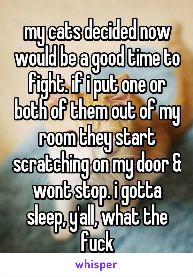 my cats decided now would be a good time to fight. if i put one or both of them out of my room they start scratching on my door & wont stop. i gotta sleep, y'all, what the fuck