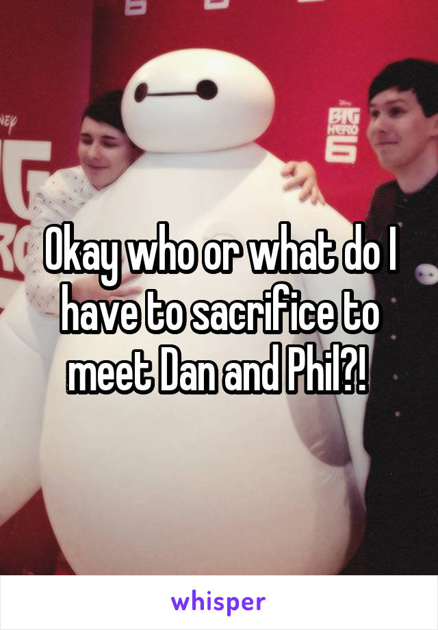 Okay who or what do I have to sacrifice to meet Dan and Phil?! 