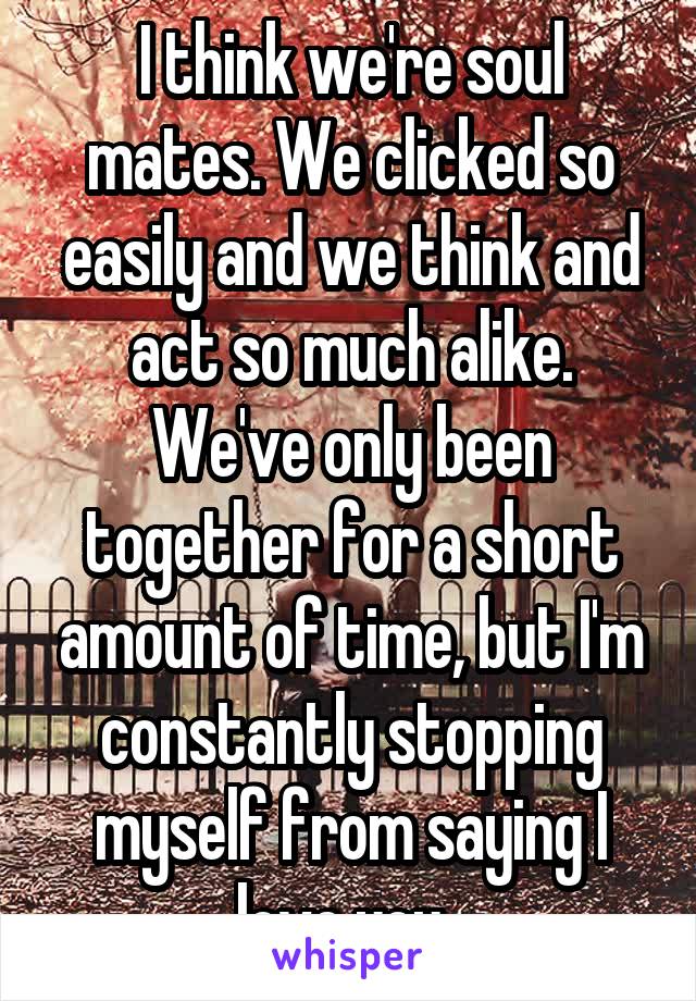 I think we're soul mates. We clicked so easily and we think and act so much alike. We've only been together for a short amount of time, but I'm constantly stopping myself from saying I love you. 