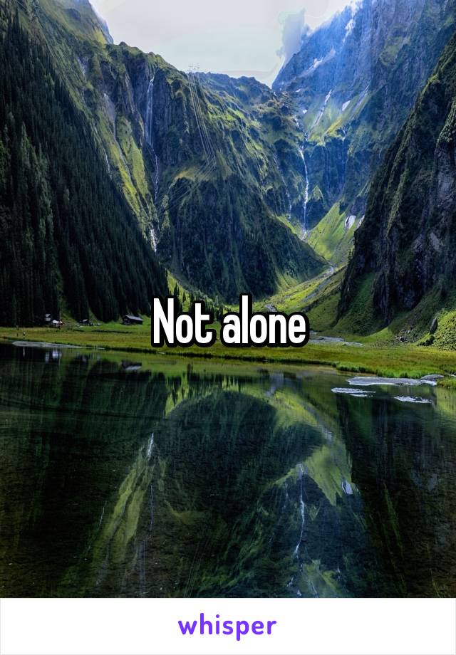 Not alone