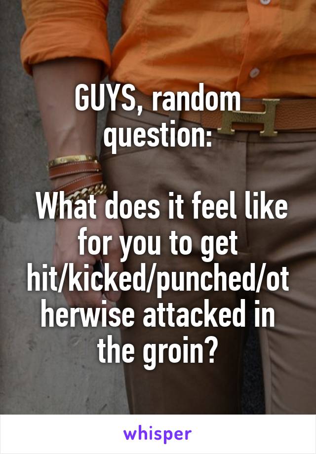 GUYS, random question:

 What does it feel like for you to get hit/kicked/punched/otherwise attacked in the groin?