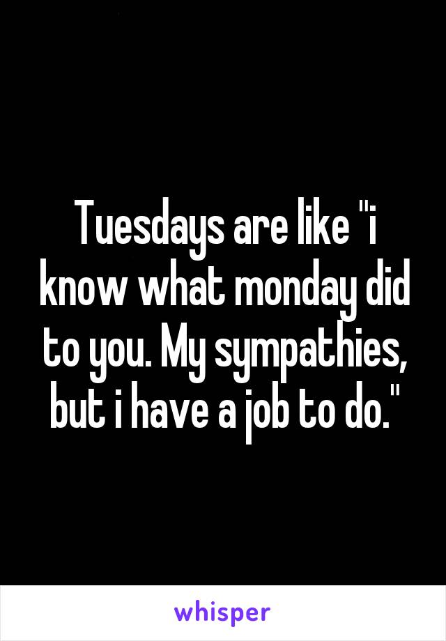 Tuesdays are like "i know what monday did to you. My sympathies, but i have a job to do."