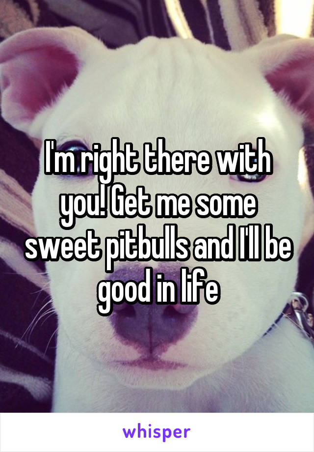 I'm right there with you! Get me some sweet pitbulls and I'll be good in life