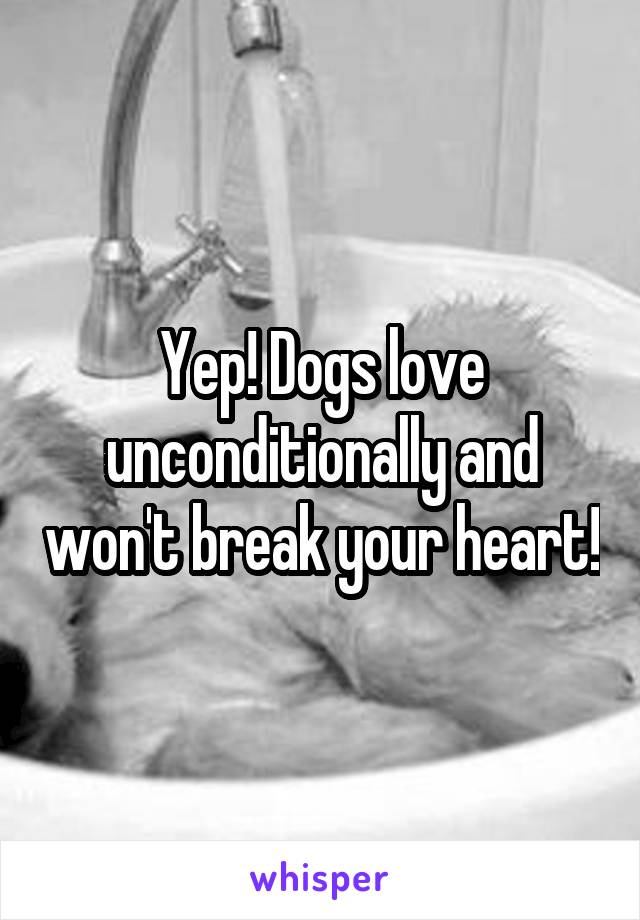Yep! Dogs love unconditionally and won't break your heart!