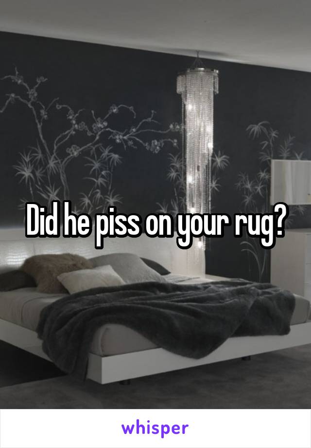 Did he piss on your rug?