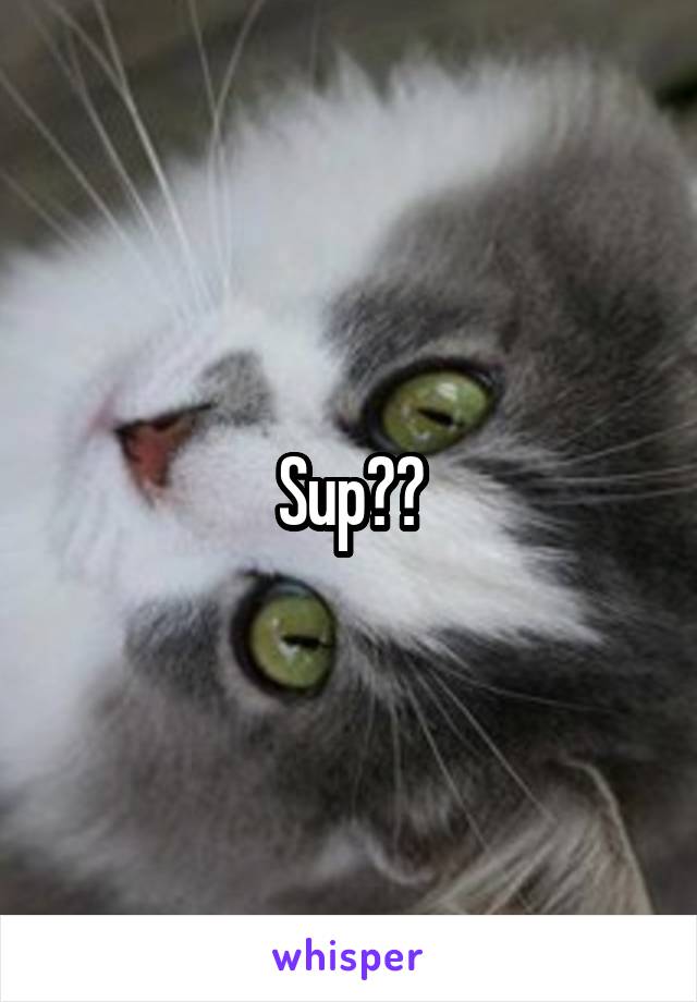 Sup??