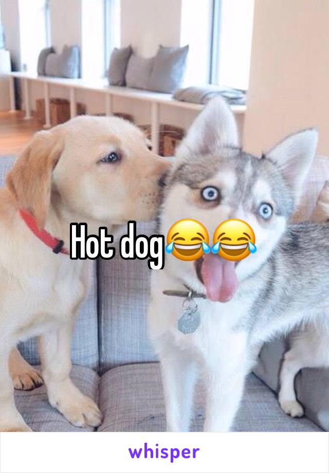 Hot dog😂😂