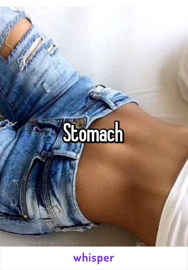 Stomach 