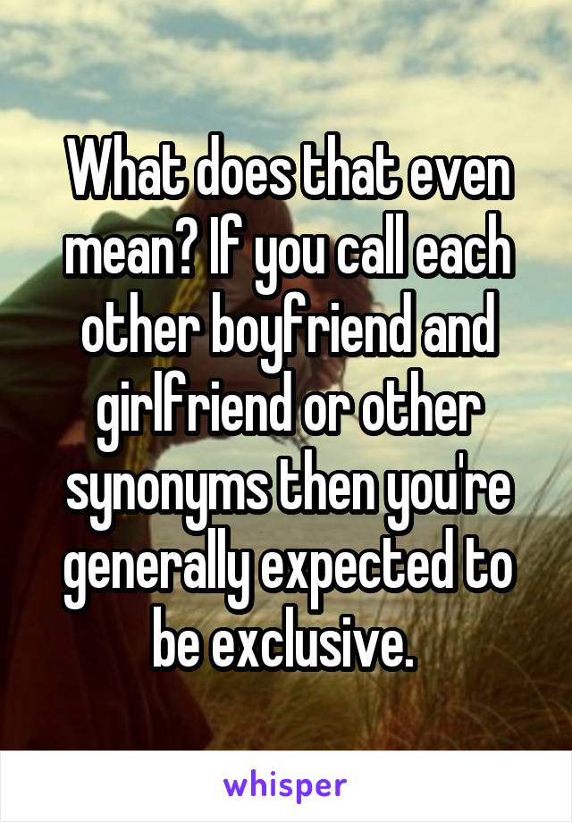 What does that even mean? If you call each other boyfriend and girlfriend or other synonyms then you're generally expected to be exclusive. 