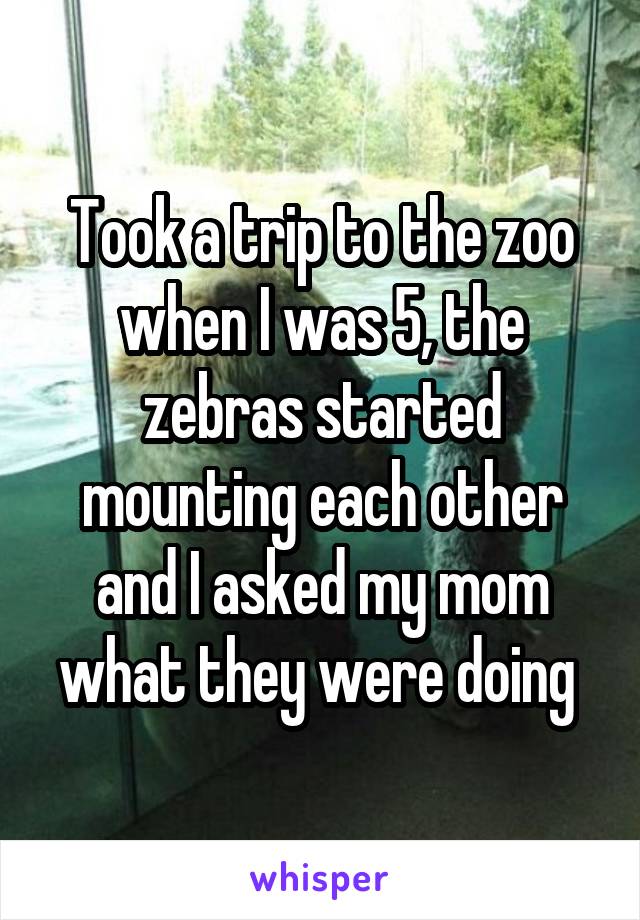 Took a trip to the zoo when I was 5, the zebras started mounting each other and I asked my mom what they were doing 