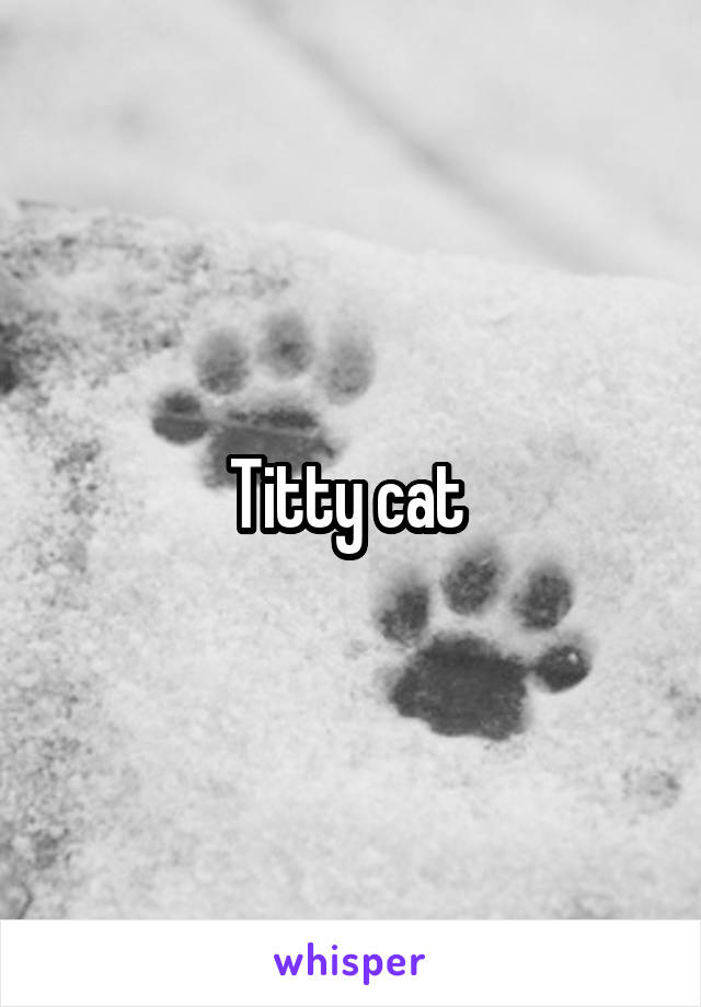 Titty cat 