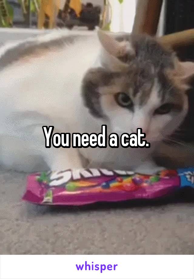 You need a cat. 