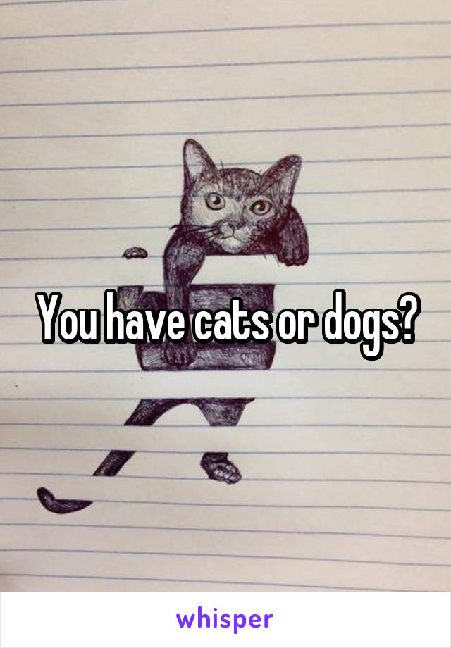 You have cats or dogs?