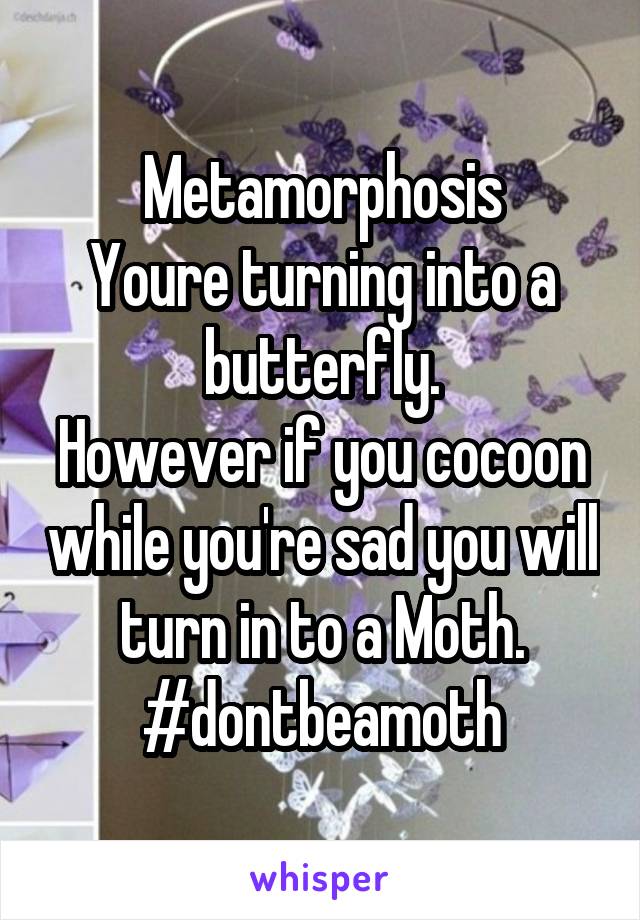 Metamorphosis
Youre turning into a butterfly.
However if you cocoon while you're sad you will turn in to a Moth.
#dontbeamoth