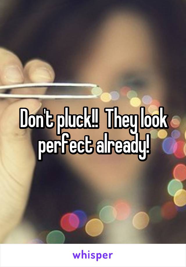 Don't pluck!!  They look perfect already!