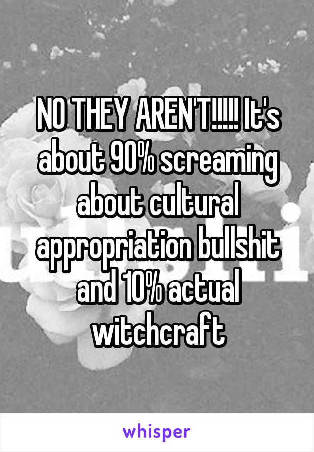 NO THEY AREN'T!!!!! It's about 90% screaming about cultural appropriation bullshit and 10% actual witchcraft