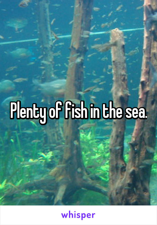 Plenty of fish in the sea.