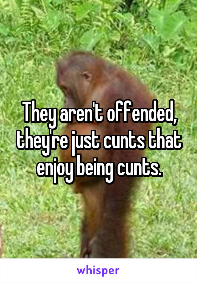 They aren't offended, they're just cunts that enjoy being cunts.