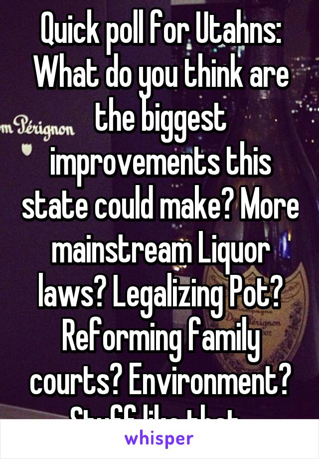 Quick poll for Utahns: What do you think are the biggest improvements this state could make? More mainstream Liquor laws? Legalizing Pot? Reforming family courts? Environment? Stuff like that. 