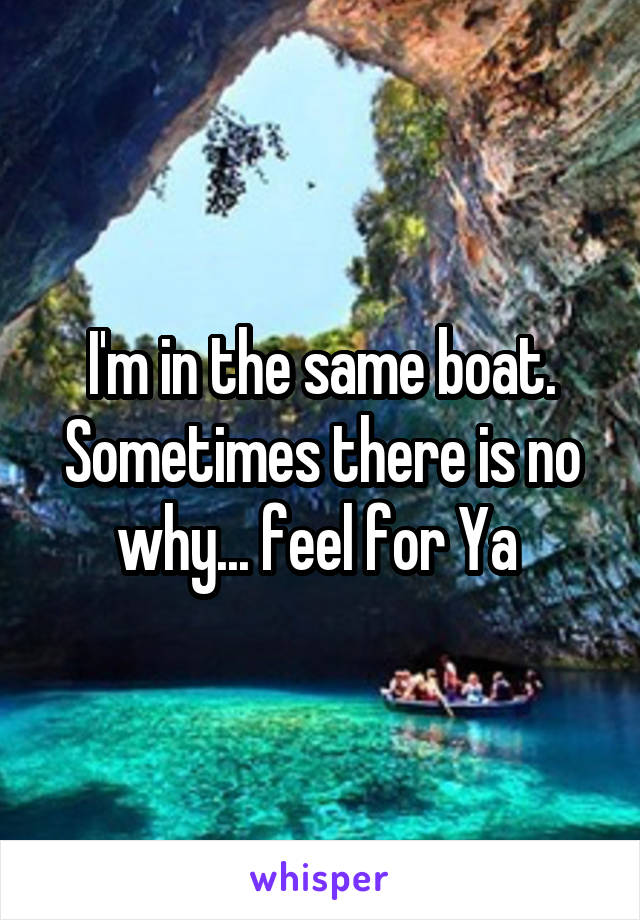 I'm in the same boat. Sometimes there is no why... feel for Ya 