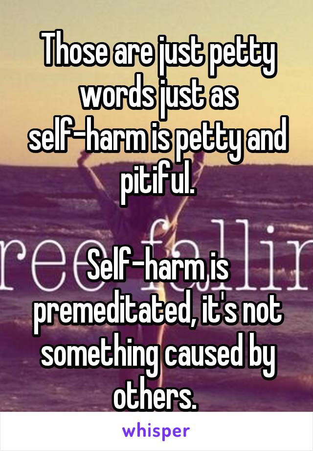 Those are just petty words just as self-harm is petty and pitiful.

Self-harm is premeditated, it's not something caused by others. 