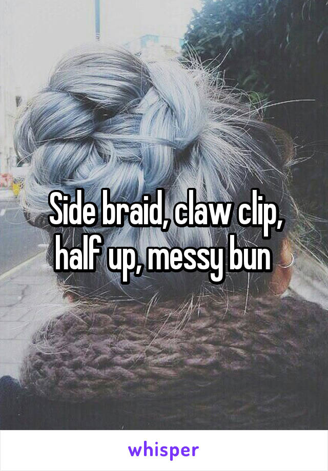 Side braid, claw clip, half up, messy bun 
