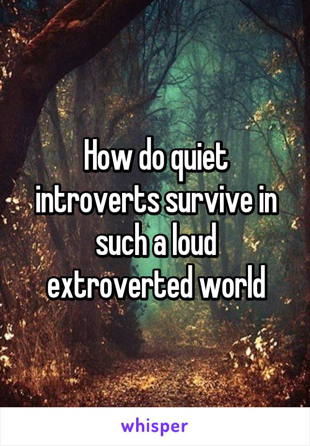 How do quiet introverts survive in such a loud extroverted world