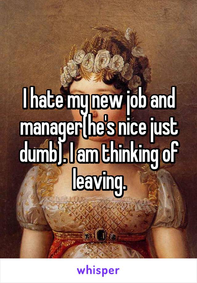 I hate my new job and manager(he's nice just dumb). I am thinking of leaving.