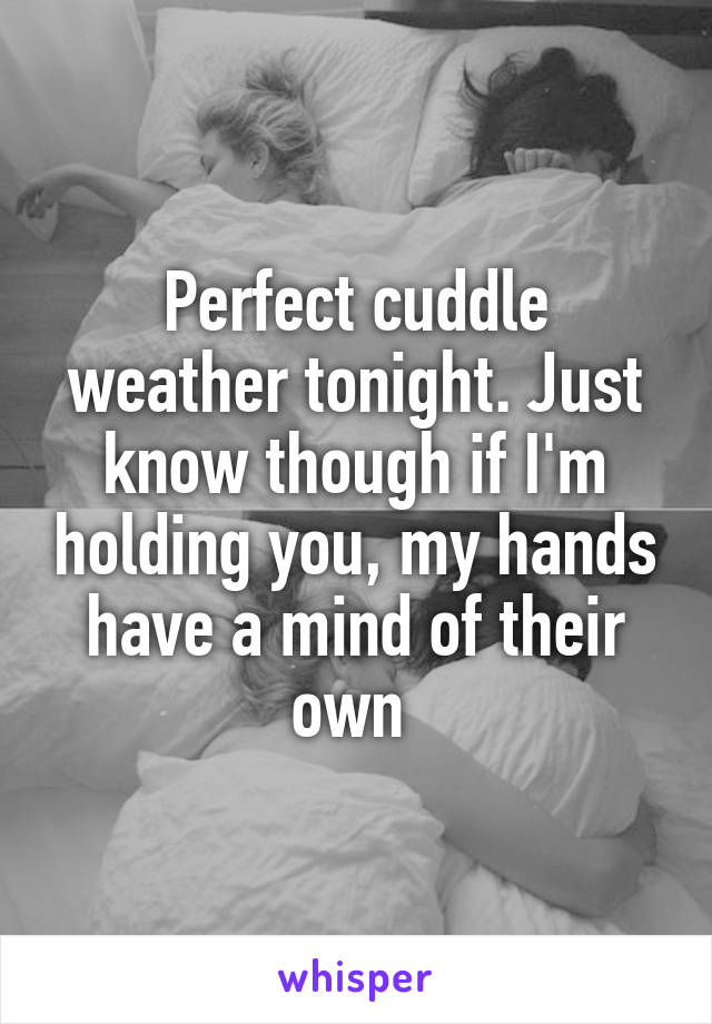 Perfect cuddle weather tonight. Just know though if I'm holding you, my hands have a mind of their own 