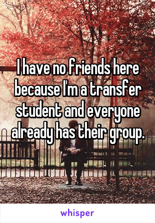I have no friends here because I'm a transfer student and everyone already has their group. 