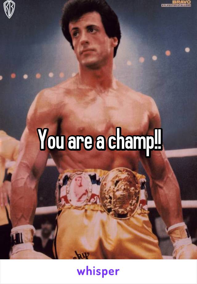 You are a champ!!