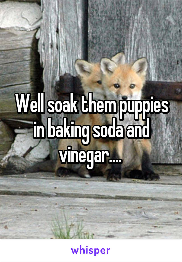 Well soak them puppies in baking soda and vinegar.... 