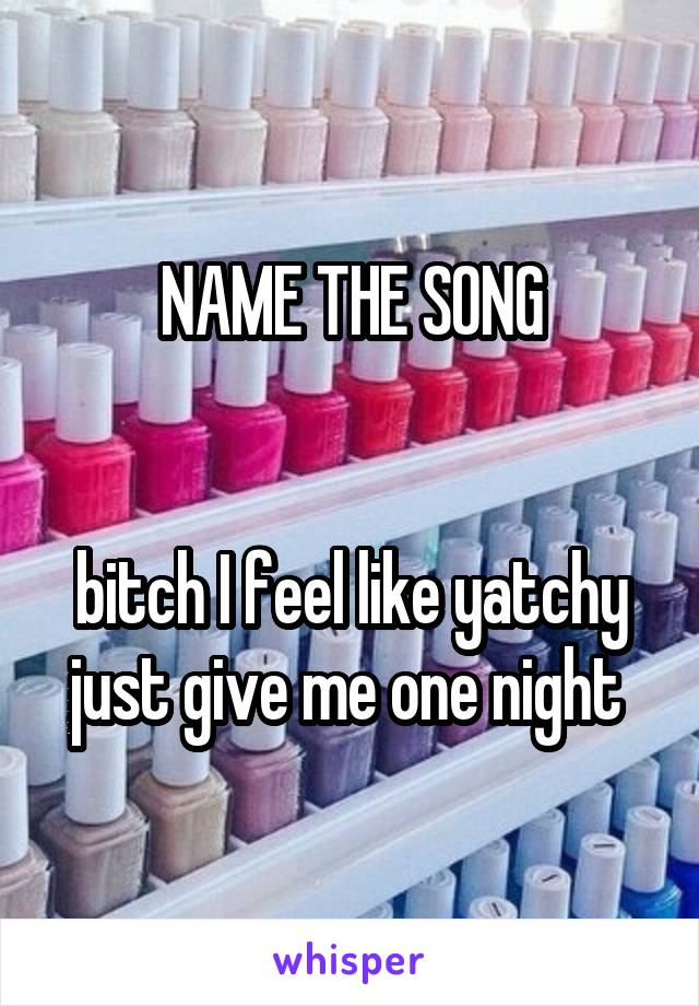 NAME THE SONG


bitch I feel like yatchy just give me one night 