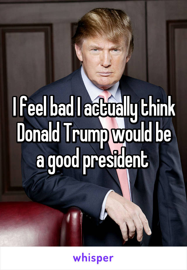I feel bad I actually think Donald Trump would be a good president 