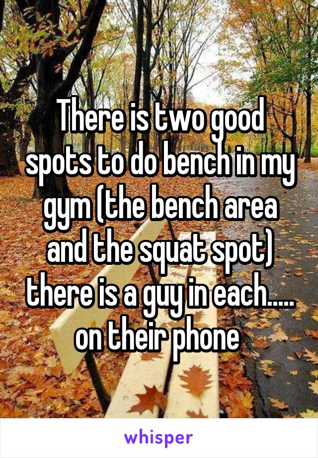 There is two good spots to do bench in my gym (the bench area and the squat spot) there is a guy in each..... on their phone 